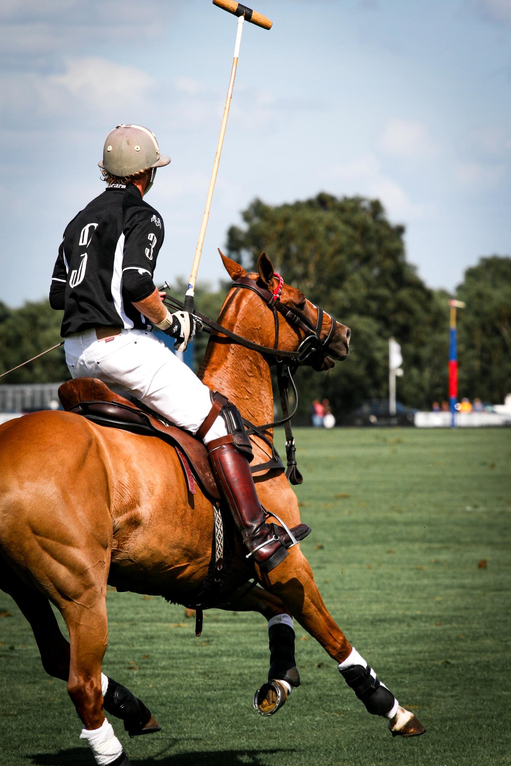 polo-game-horse-colour-photograph